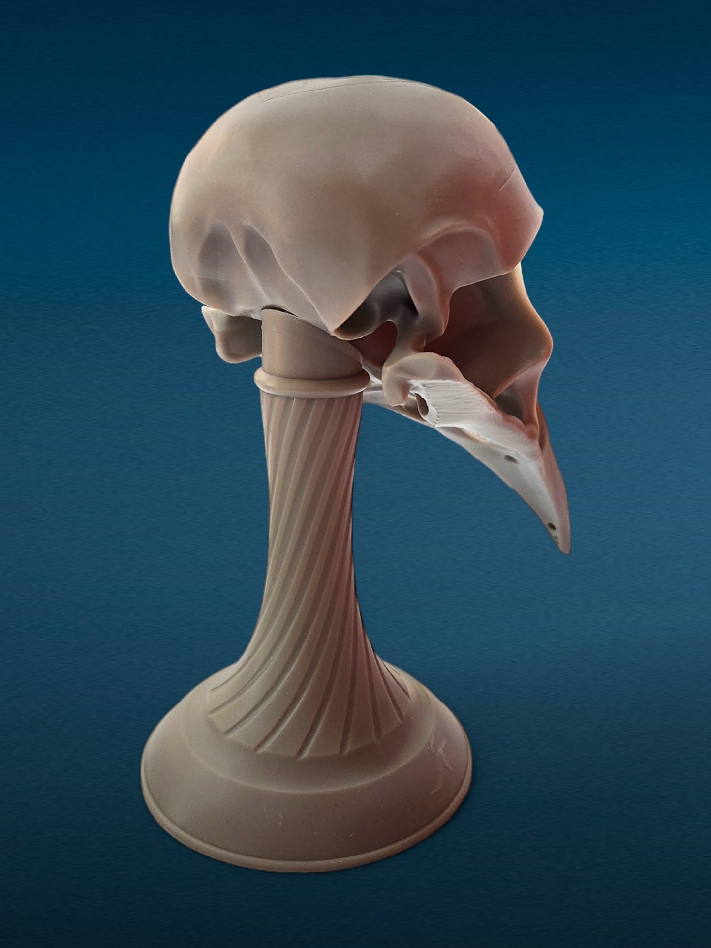 Crow Skull Bust - Unpainted 3D Resin Figurine for Hobby Painters & Collectors (7 Inch)