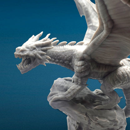3D Resin Boss - Shadow Dragon